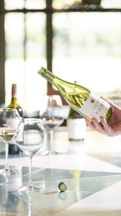 Vasse Felix ′Filius′ Chardonnay 2021/22, Margaret River 9 Vasse Felix ′Filius′ Chardonnay 2021/22, Margaret River -UK Drinks Sales 2024 0030292 0