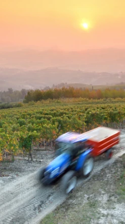 G. D. Vajra ‘Albe’ Barolo DOCG 2017/18 -UK Drinks Sales 2024 0030297 0