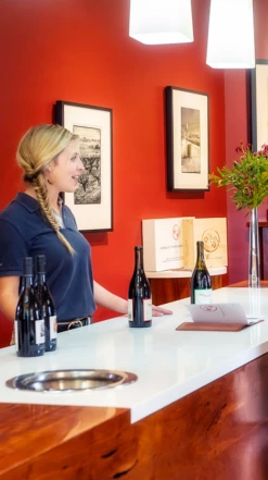 Two Hands ′Samantha′s Garden′ Shiraz 2018, Clare Valley -UK Drinks Sales 2024 0030305 0