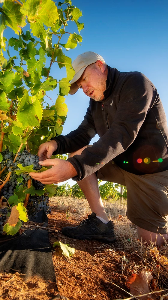 Two Hands ′Gnarly Dudes′ Shiraz 2021/22, Barossa Valley 4 Two Hands ′Gnarly Dudes′ Shiraz 2021/22, Barossa Valley - Image 2