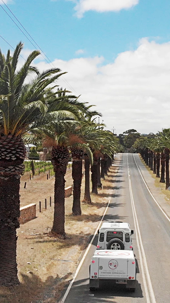 Two Hands ′Gnarly Dudes′ Shiraz 2021/22, Barossa Valley 5 Two Hands ′Gnarly Dudes′ Shiraz 2021/22, Barossa Valley - Image 3