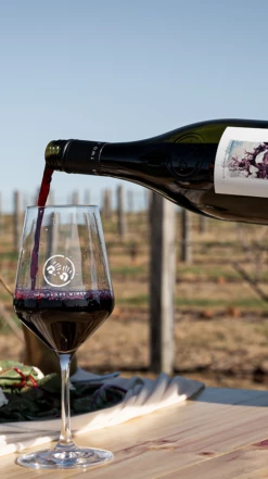 Two Hands ′Gnarly Dudes′ Shiraz 2021/22, Barossa Valley 9 Two Hands ′Gnarly Dudes′ Shiraz 2021/22, Barossa Valley -UK Drinks Sales 2024 0030328 0