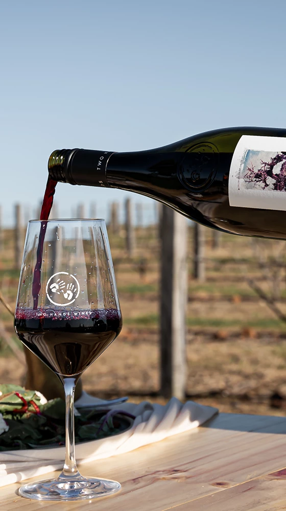 Two Hands ′Gnarly Dudes′ Shiraz 2021/22, Barossa Valley 6 Two Hands ′Gnarly Dudes′ Shiraz 2021/22, Barossa Valley - Image 4