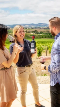 Two Hands ′Holy Grail′ Shiraz 2018, Barossa -UK Drinks Sales 2024 0030334 0