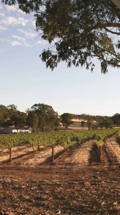 Torbreck ′Runrig′ Shiraz 2012/2014, Barossa Valley -UK Drinks Sales 2024 0030361 0