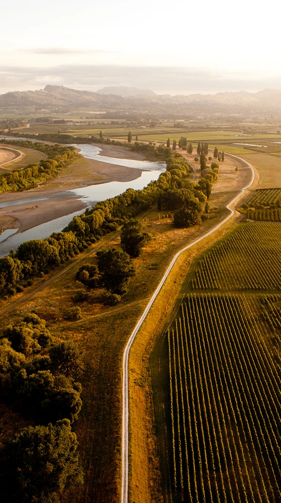 Te Mata Estate Syrah 2020/21, Hawke′s Bay 4 Te Mata Estate Syrah 2020/21, Hawke′s Bay - Image 2