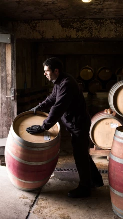 Te Mata Estate Syrah 2020/21, Hawke′s Bay 9 Te Mata Estate Syrah 2020/21, Hawke′s Bay -UK Drinks Sales 2024 0030384 0