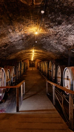 Tahbilk ′The Tower′ Marsanne 2019/22, Victoria 9 Tahbilk ′The Tower′ Marsanne 2019/22, Victoria -UK Drinks Sales 2024 0030419 0