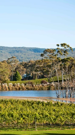 Shaw + Smith Sauvignon Blanc 2021/22, Adelaide Hills 9 Shaw + Smith Sauvignon Blanc 2021/22, Adelaide Hills -UK Drinks Sales 2024 0030428 0