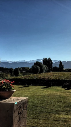 Matias Riccitelli ′Hey Malbec!′ 2021/22, Mendoza -UK Drinks Sales 2024 0030512 0