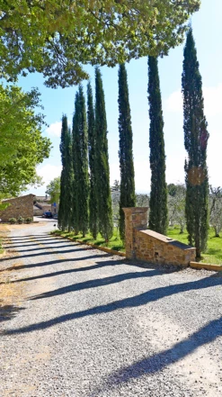 Agostina Pieri Brunello Di Montalcino DOCG 2017/18 8 Agostina Pieri Brunello Di Montalcino DOCG 2017/18 -UK Drinks Sales 2024 0030633 0