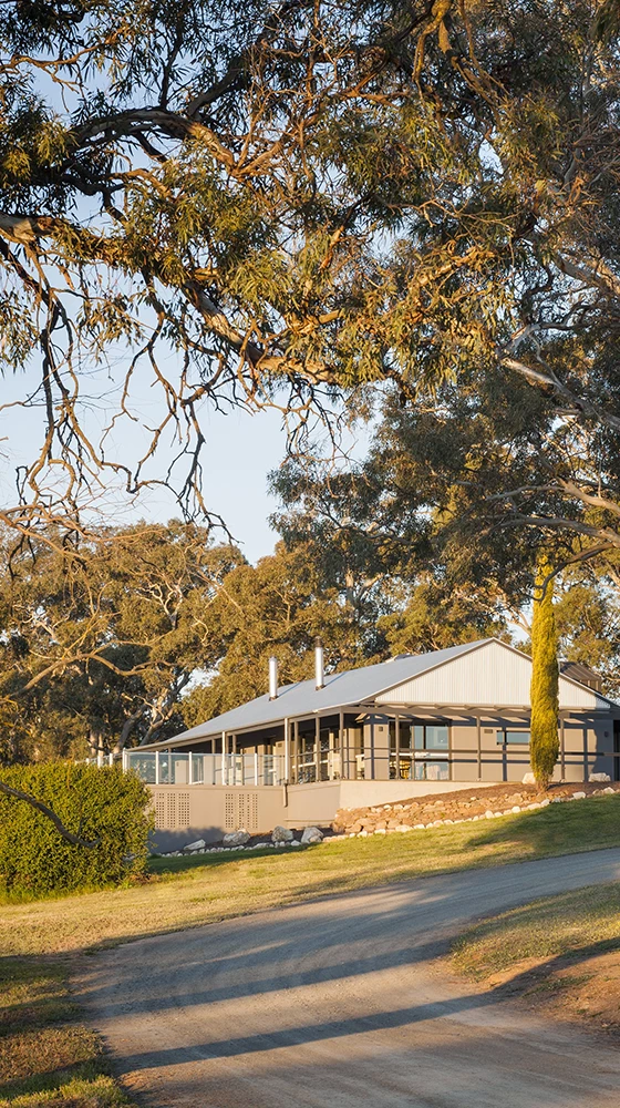 Petaluma ′Hanlin Hill′ Riesling 2020/21, Clare Valley 5 Petaluma ′Hanlin Hill′ Riesling 2020/21, Clare Valley - Image 3