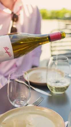 Penfolds Bin A Chardonnay 2019 -UK Drinks Sales 2024 0030647 0