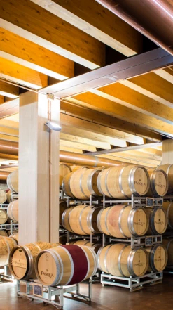 Pasqua ′Romeo & Juliet′ Brut Prosecco DOC, Treviso 8 Pasqua ′Romeo & Juliet′ Brut Prosecco DOC, Treviso -UK Drinks Sales 2024 0032201 0