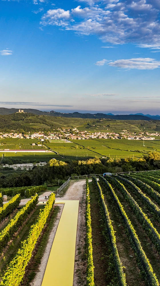 Pasqua ′Romeo & Juliet′ Brut Prosecco DOC, Treviso 6 Pasqua ′Romeo & Juliet′ Brut Prosecco DOC, Treviso - Image 4