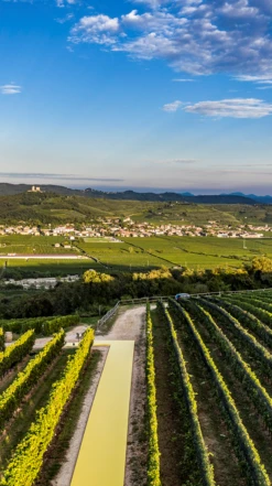 Pasqua ′PassioneSentimento′ Passimento Rosso 2020/21, Veneto -UK Drinks Sales 2024 0032205 0